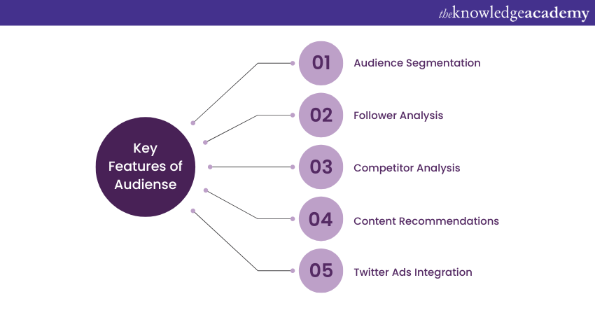 Essential features of top Twitter automation tools